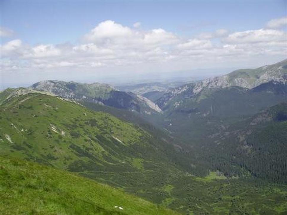 Obrázok blogu