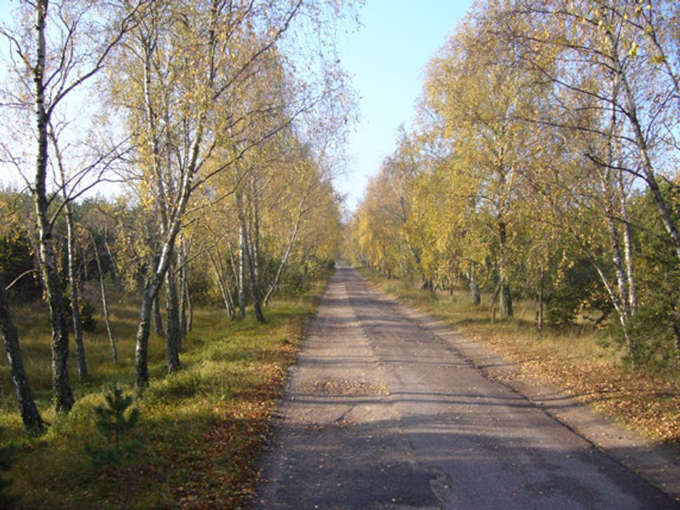 Obrázok blogu