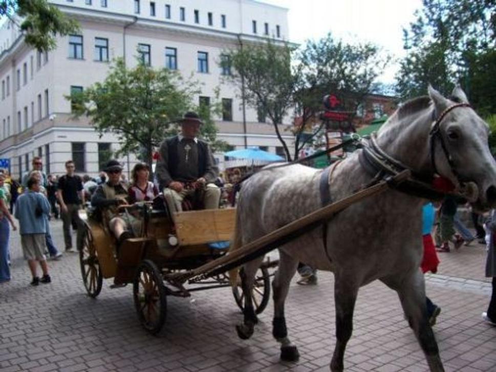 Obrázok blogu