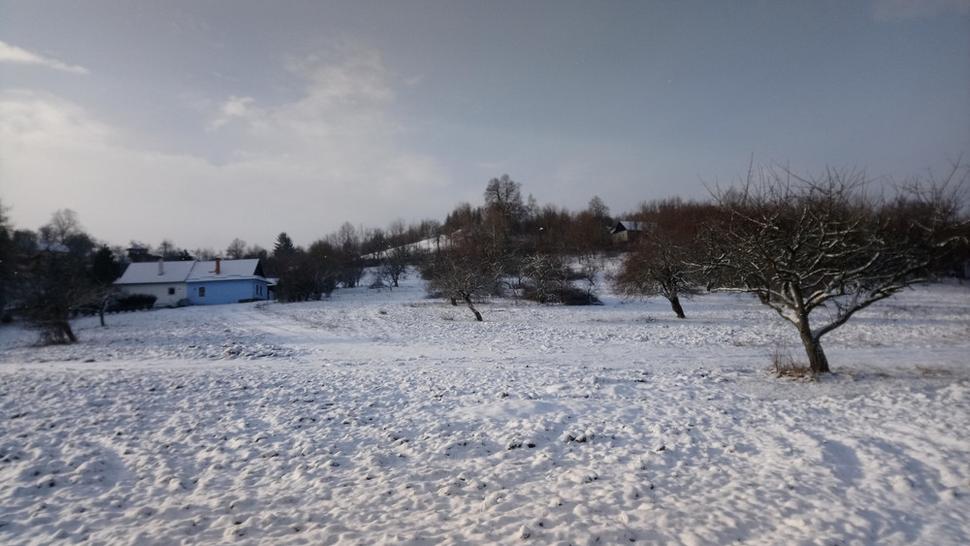 Planina