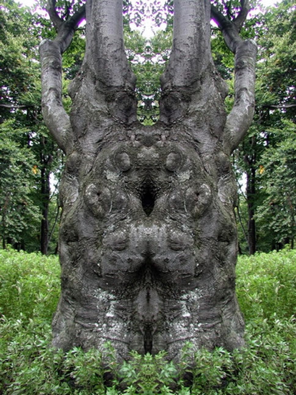 Keltek