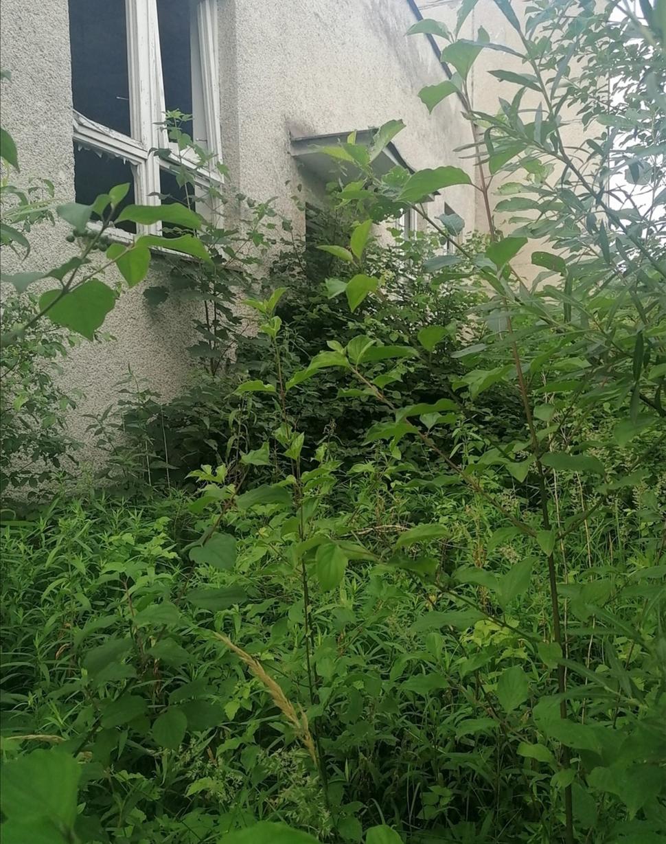 ale v ľahkom cykloodeve predieranie sa húštnou vzdávam.