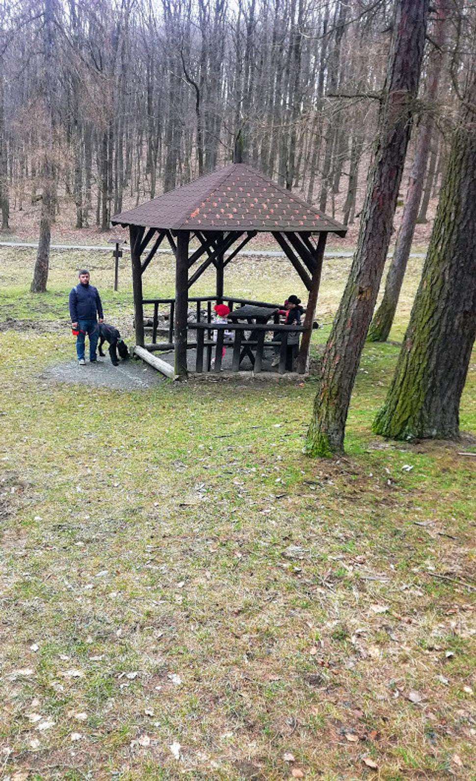 Obrázok blogu