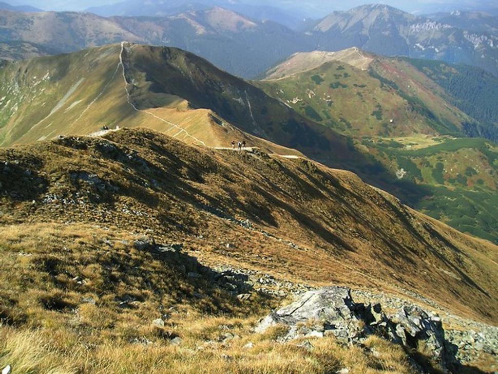 Koncista