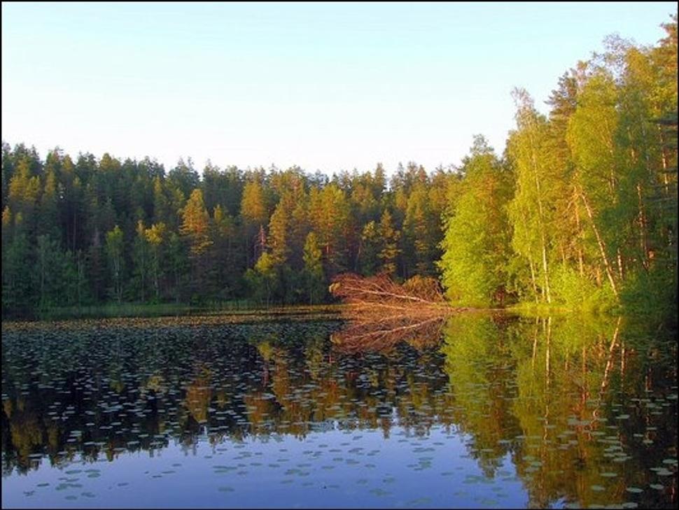 Obrázok blogu