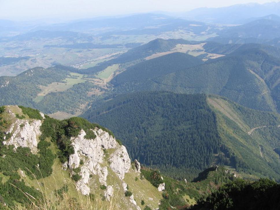 Obrázok blogu