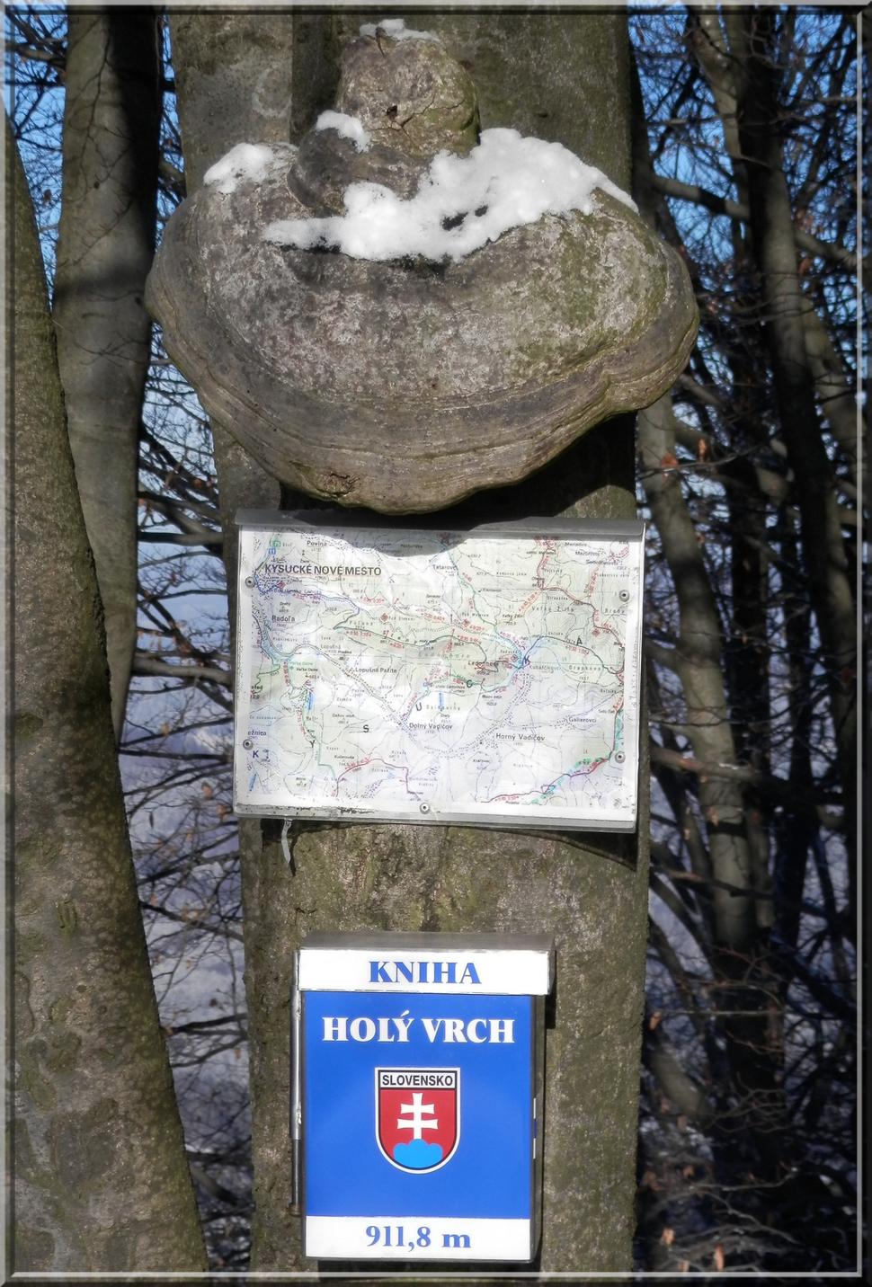 Obrázok blogu
