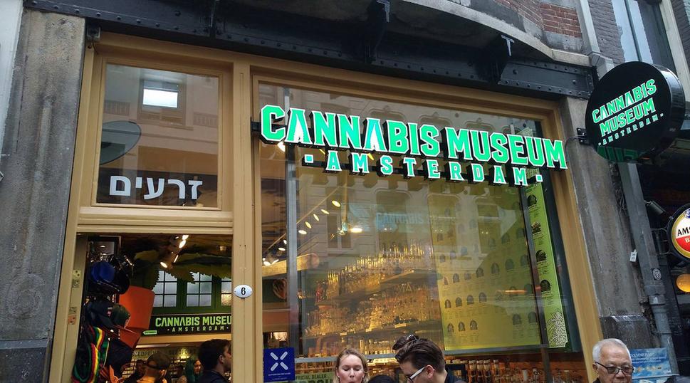 Canabis museum
