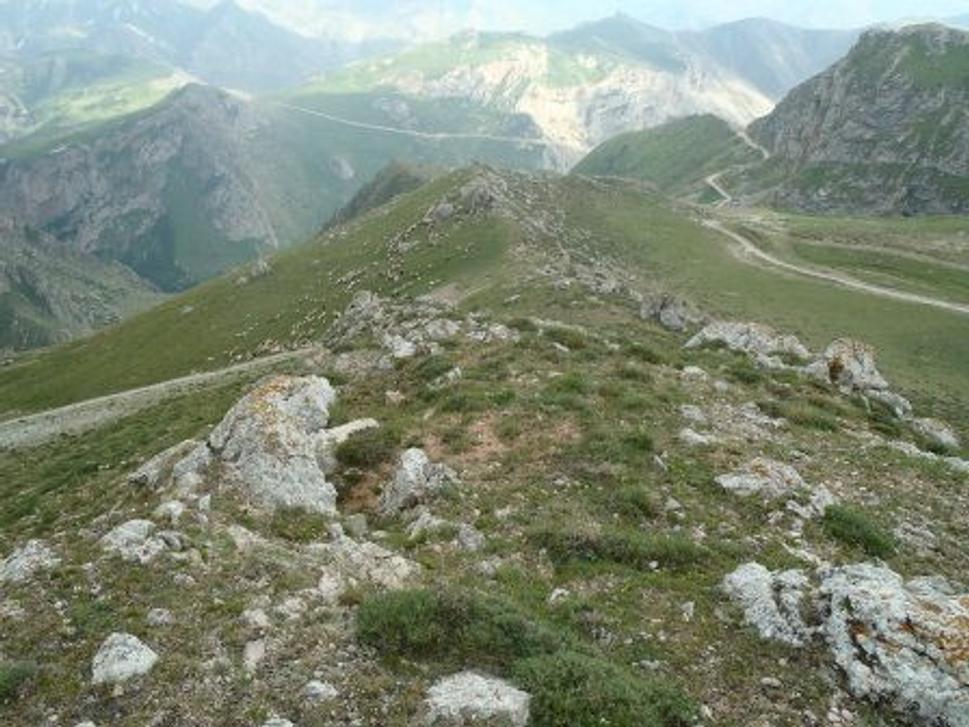 Obrázok blogu