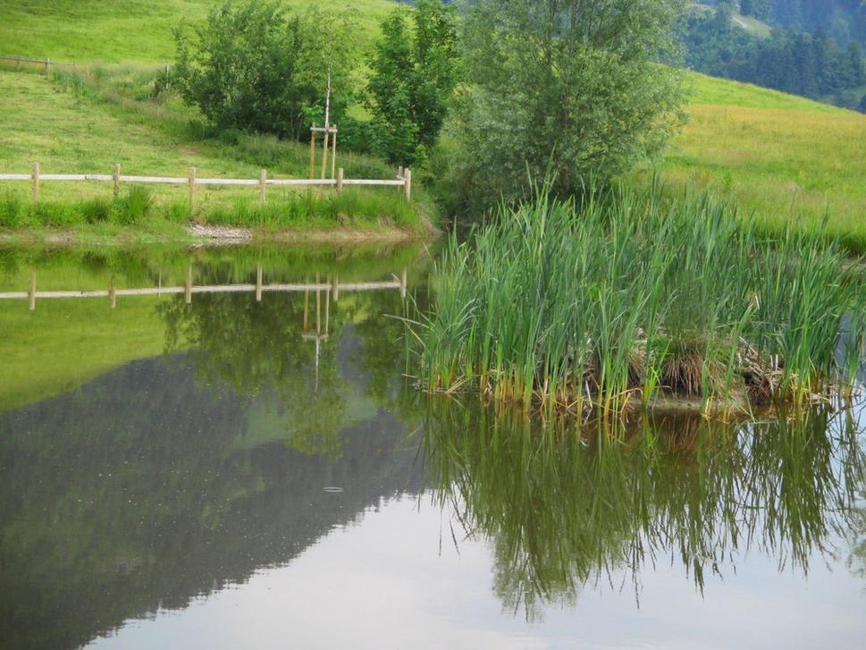 Mlčať ešte neznamená, že nemáme čo povedať.