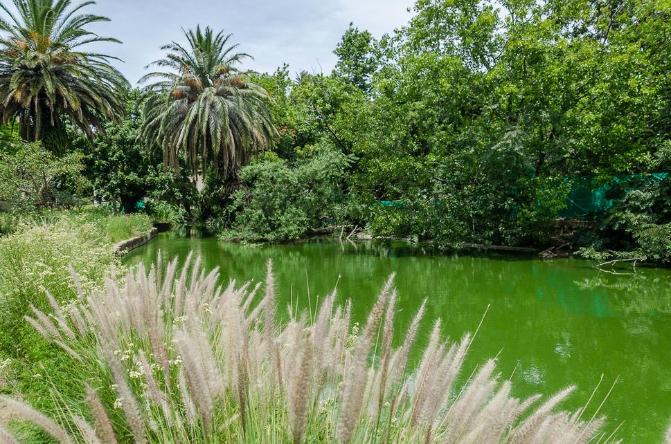 Tento Ekopark bol kedysi zoologickou záhradou.