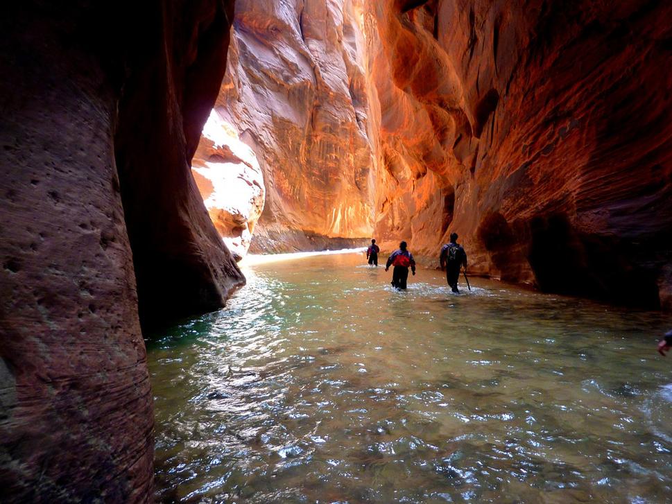 Pohľad do Zion Narrows