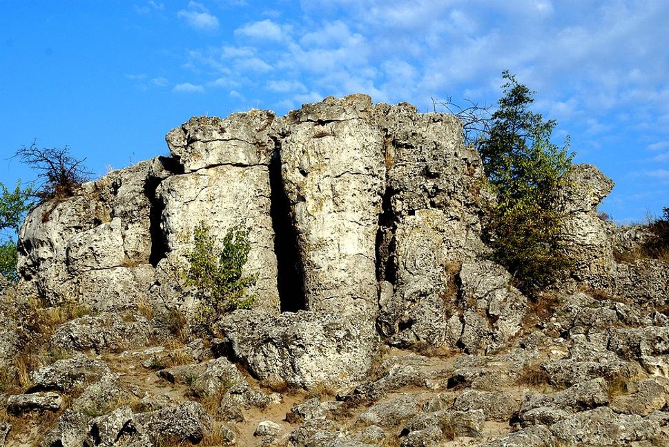 Obrázok blogu