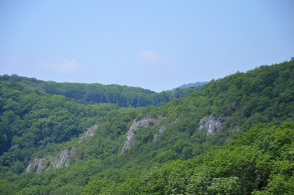 Obrázok blogu