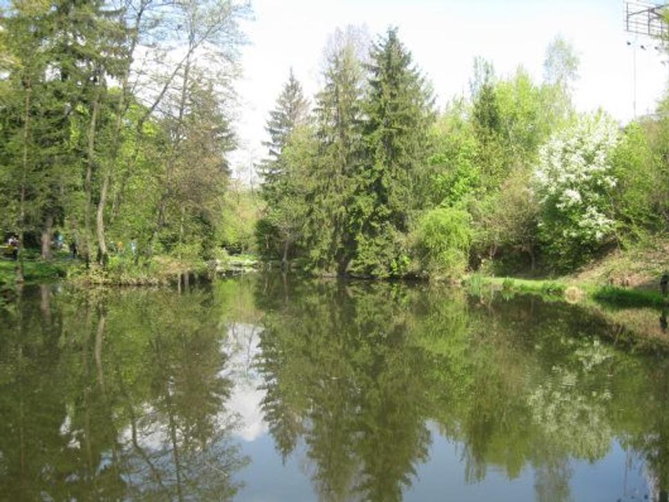 Obrázok blogu