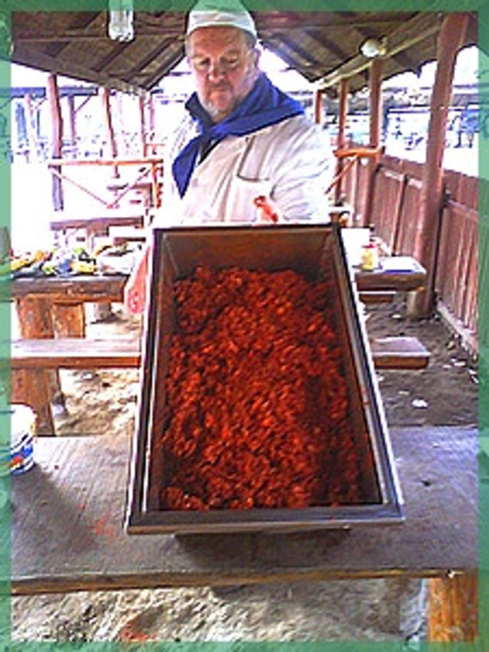 Obrázok blogu