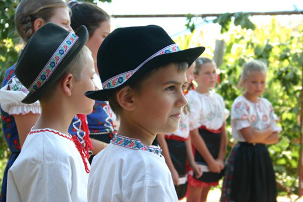 Obrázok blogu