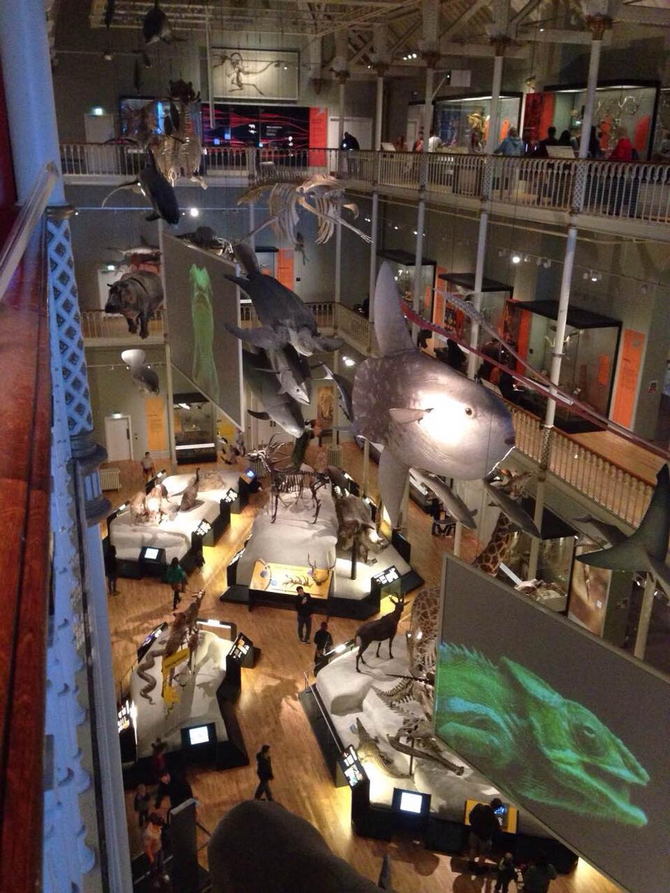 National museum of Scotland