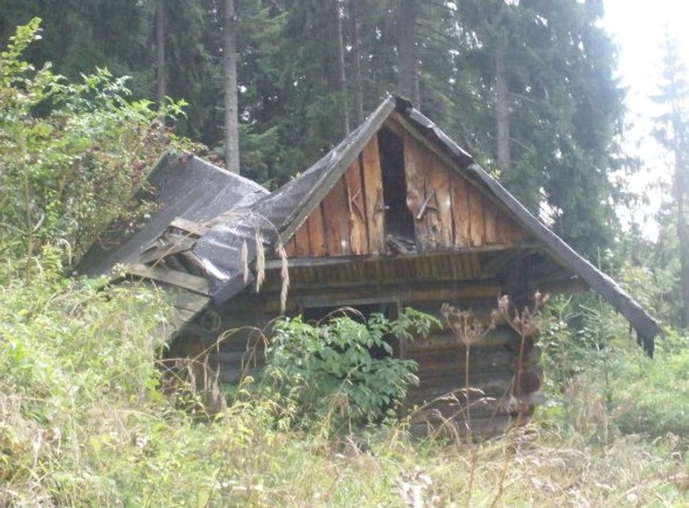 Obrázok blogu