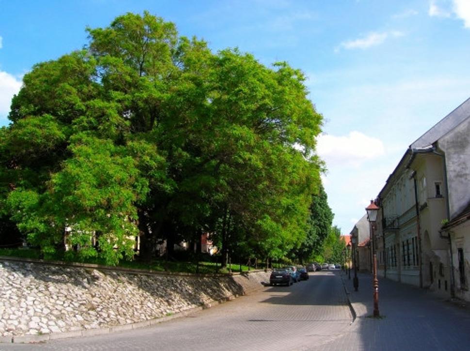 Obrázok blogu