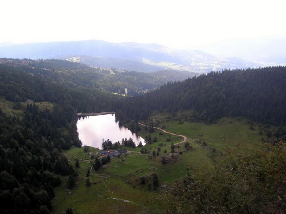 Obrázok blogu