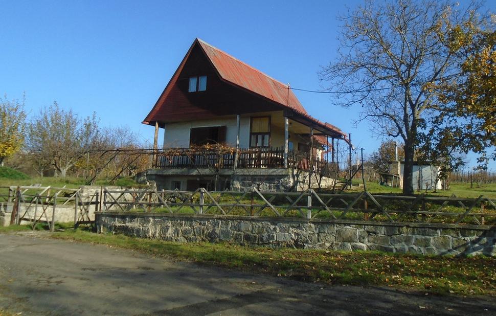 udržované viničky 1.Stoja za pozretie