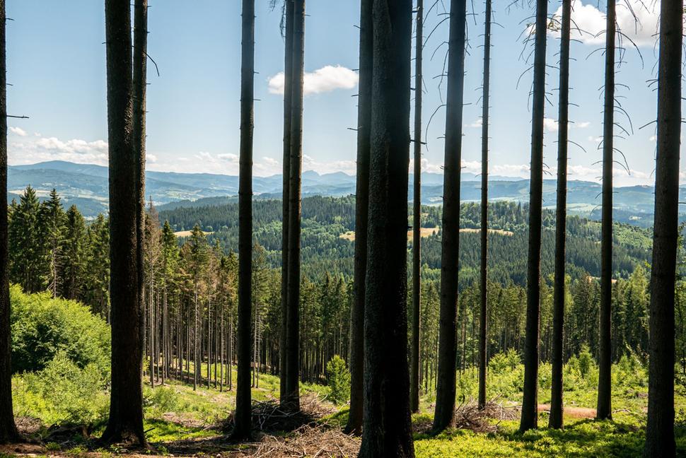 Výhľady