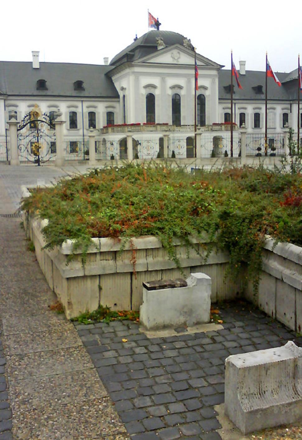 Obrázok blogu