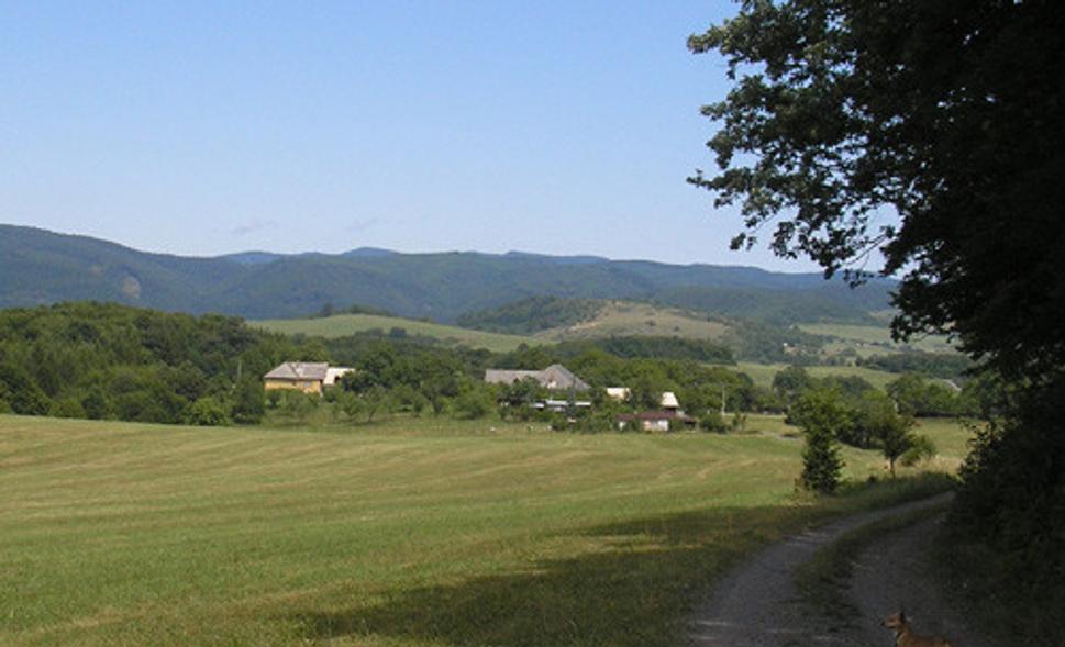 Obrázok blogu