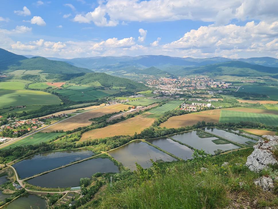 Brzotínska skala