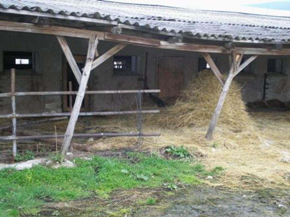 Obrázok blogu