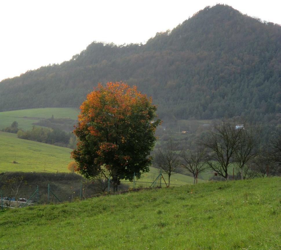 návratom