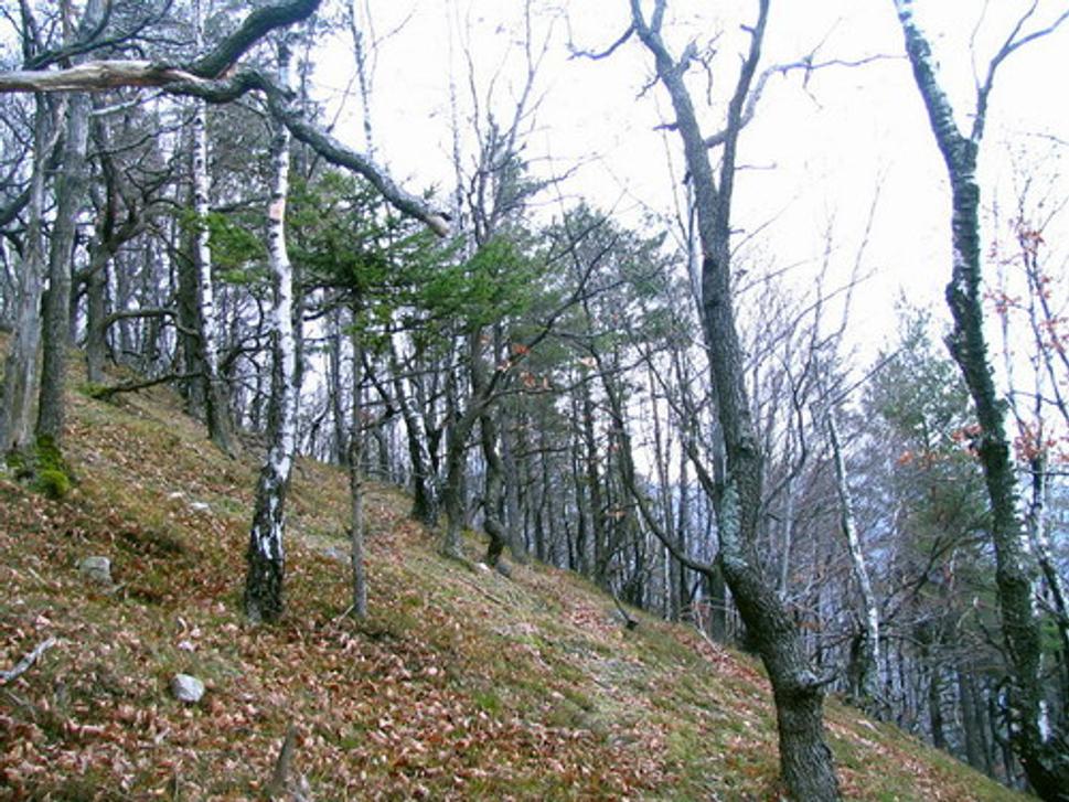 Obrázok blogu