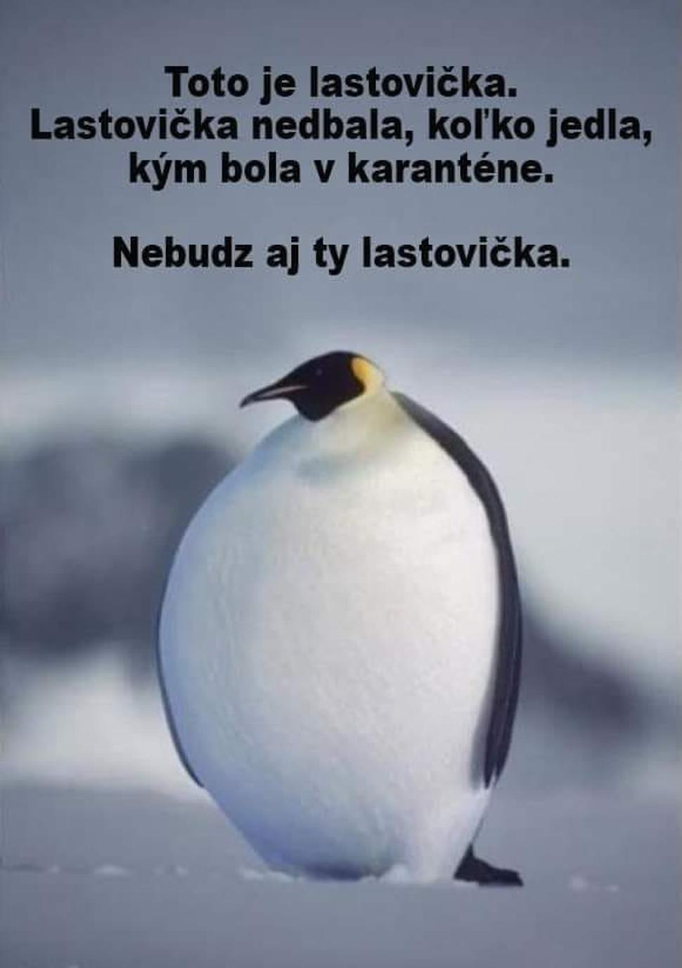 Pozor na „korona-kalórie“!