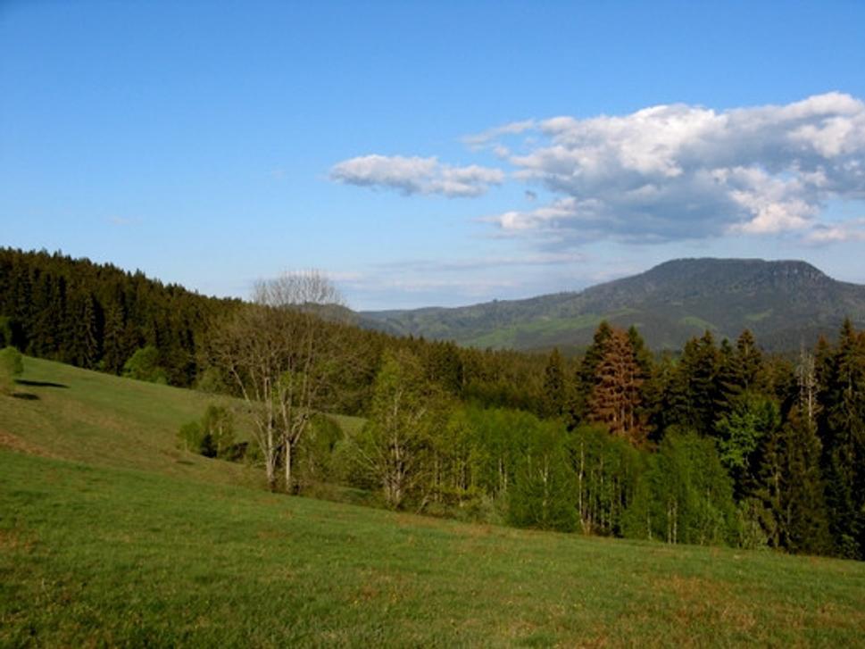 Obrázok blogu