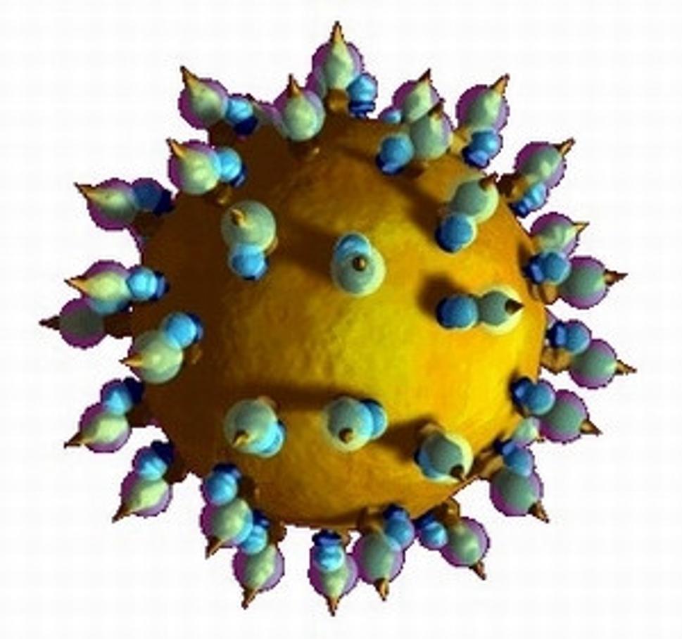 Vírus hepatitídy
