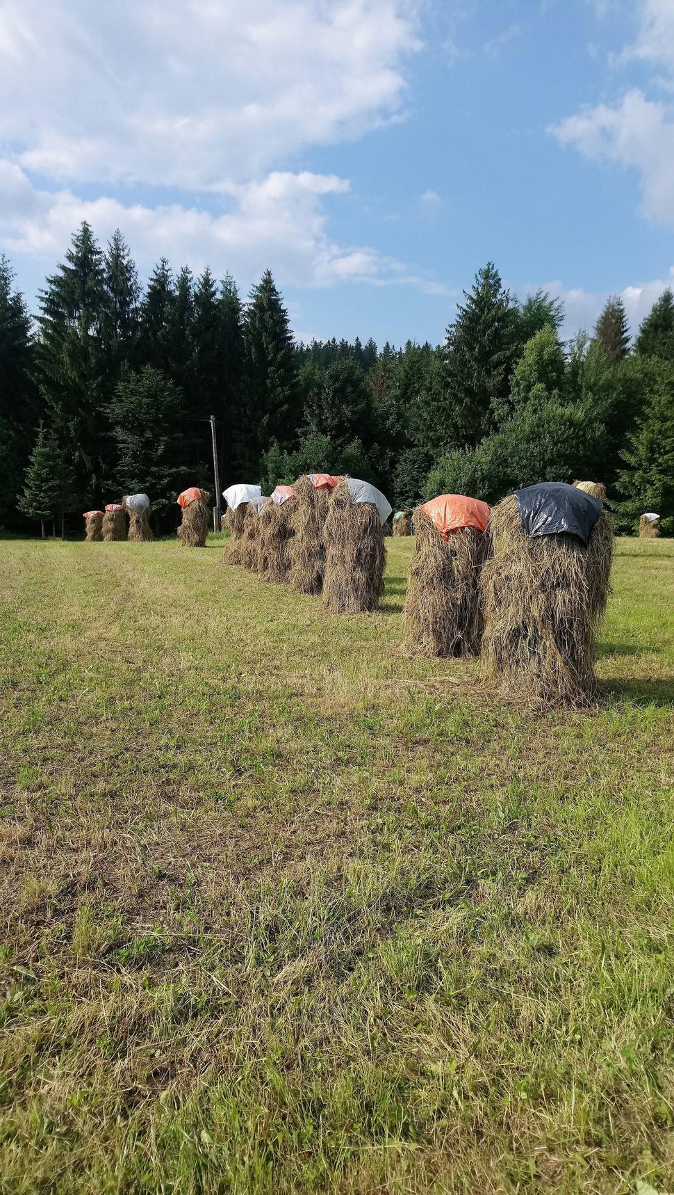 Dôkladne obrobené polia