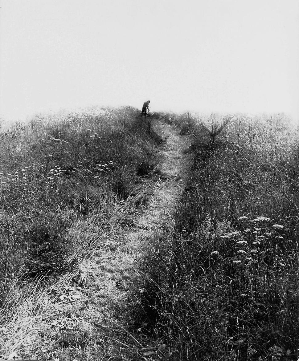 Michal Kern: Kosec (1983).