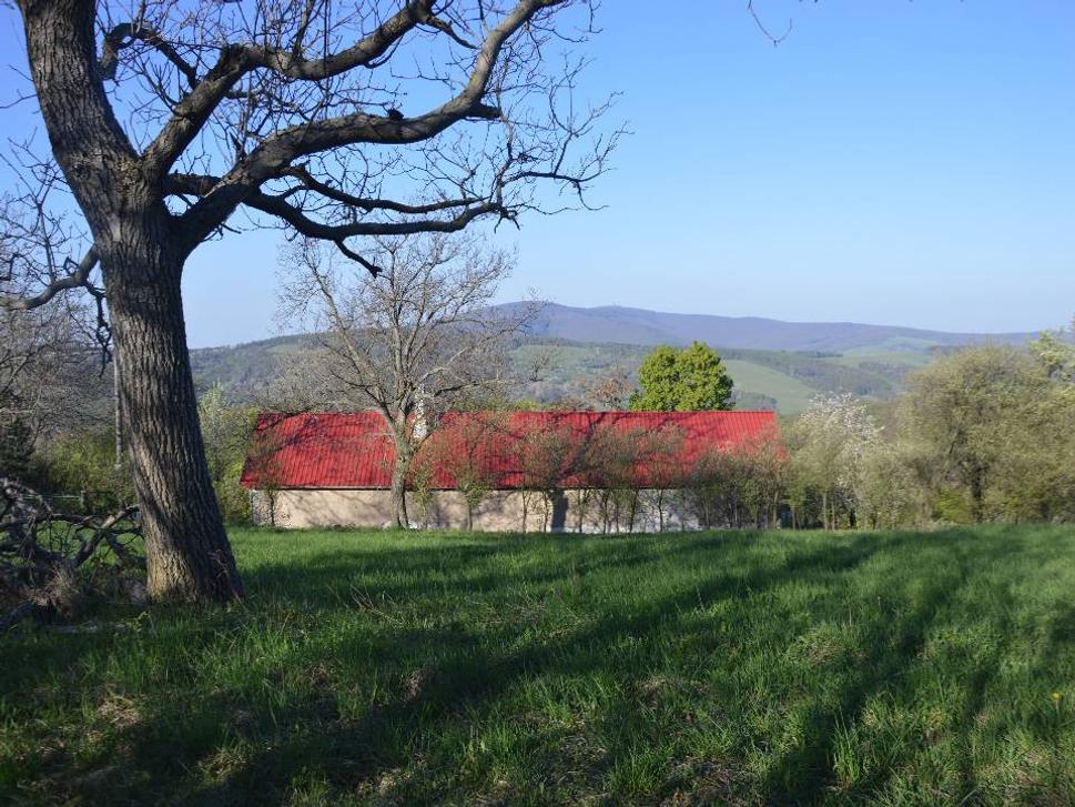 Obrázok blogu