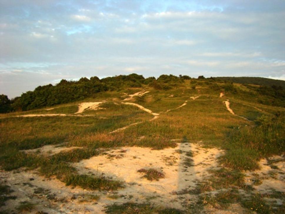 Obrázok blogu