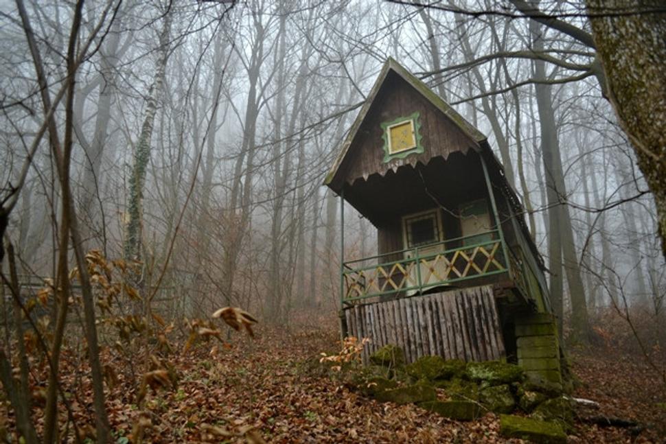 Obrázok blogu