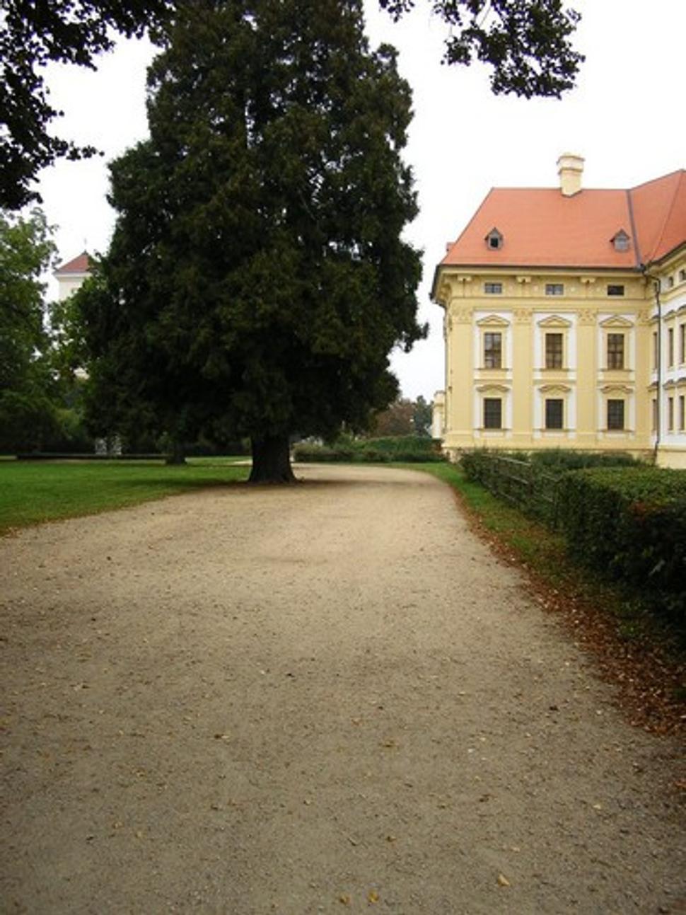 Obrázok blogu
