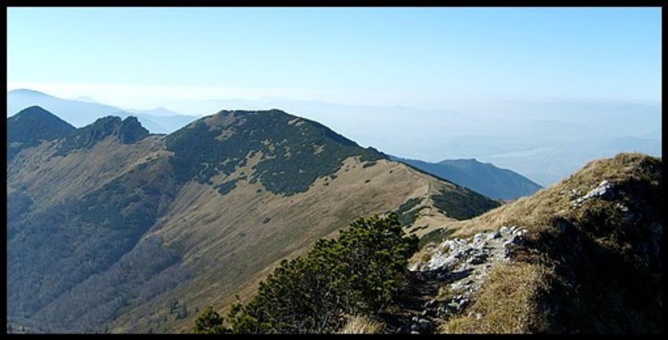 Obrázok blogu