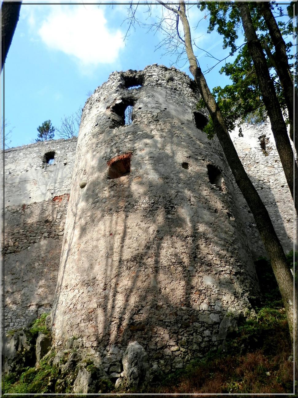 Obrázok blogu