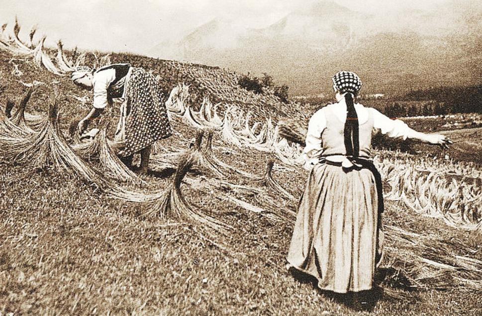 Pestovanie ľanu pod Tatrami.