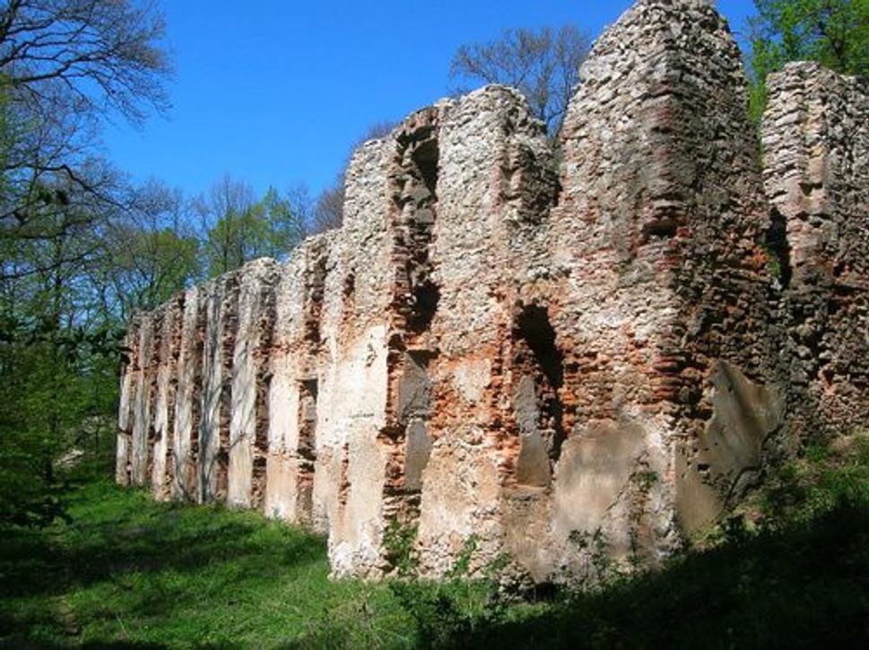 Obrázok blogu