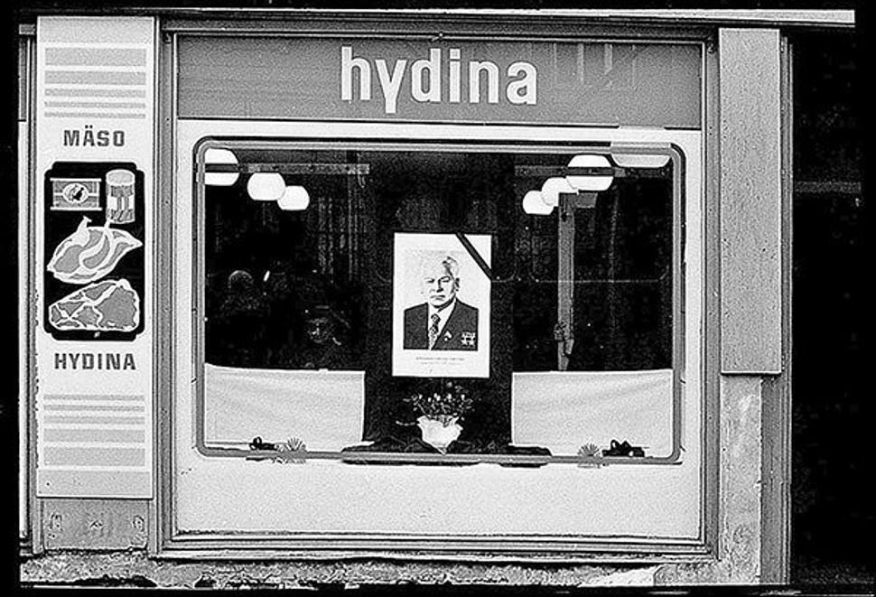 • Ľubo Stacho: Výklad hydina, Obchodná ulica č. 24 (1984 - 2013) •
