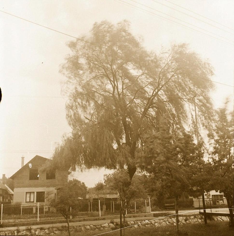 Obrázok blogu