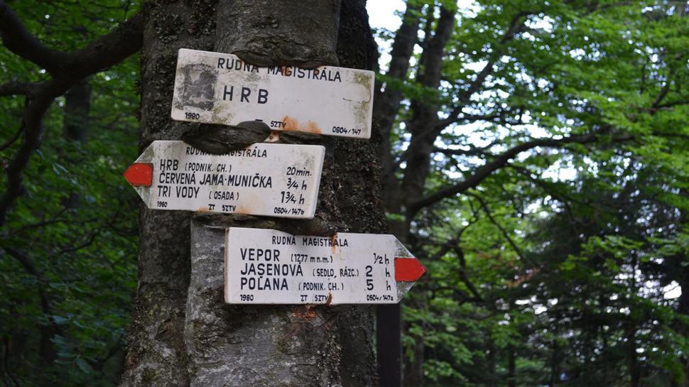 Detail na smerovník na Hrbe.