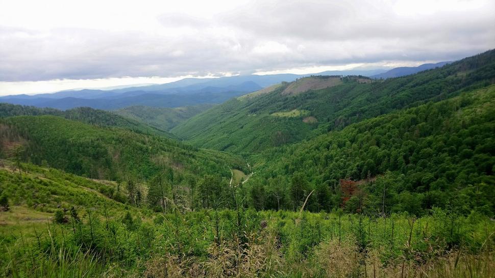 Volovské vrchy